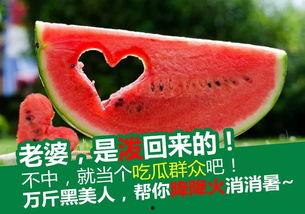 香水吃瓜 第3张 香水吃瓜 第3张